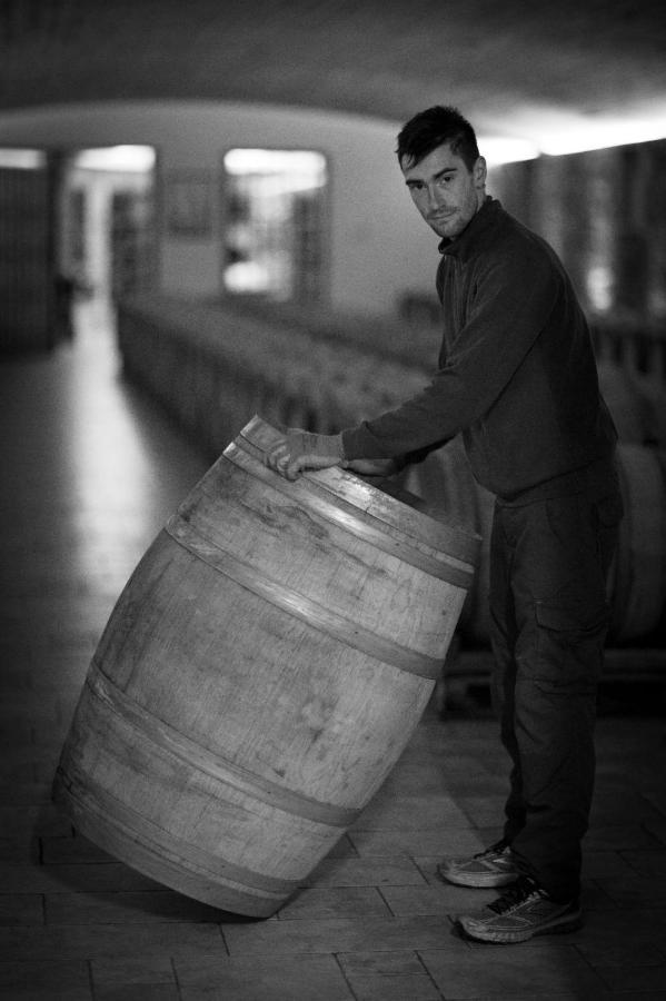 Il Roncal Wine Resort - For Wine Lovers Cividale del Friuli Εξωτερικό φωτογραφία