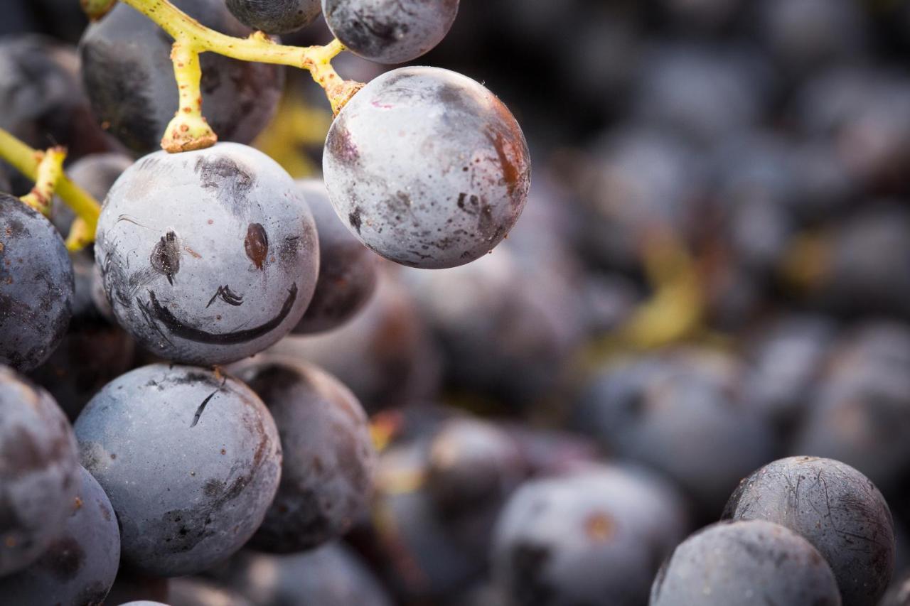 Il Roncal Wine Resort - For Wine Lovers Cividale del Friuli Εξωτερικό φωτογραφία