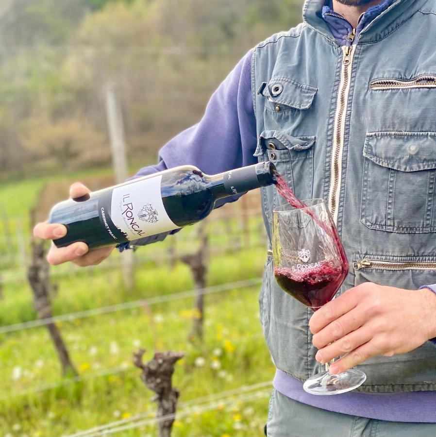 Il Roncal Wine Resort - For Wine Lovers Cividale del Friuli Εξωτερικό φωτογραφία