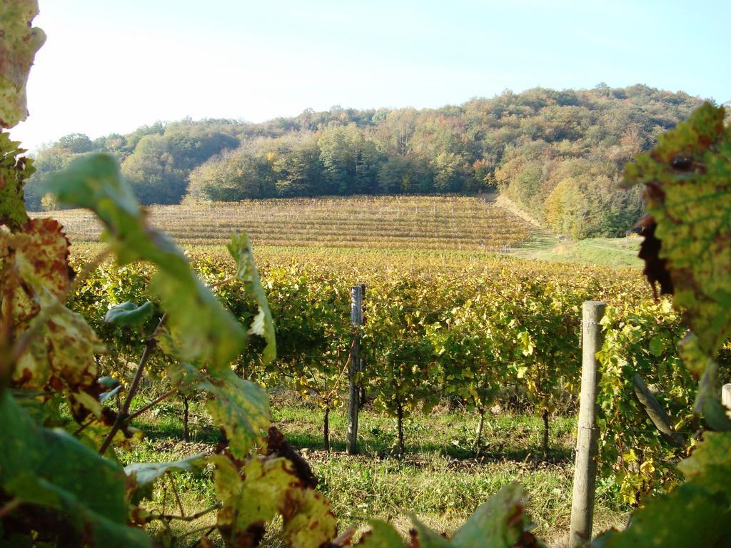 Il Roncal Wine Resort - For Wine Lovers Cividale del Friuli Εξωτερικό φωτογραφία