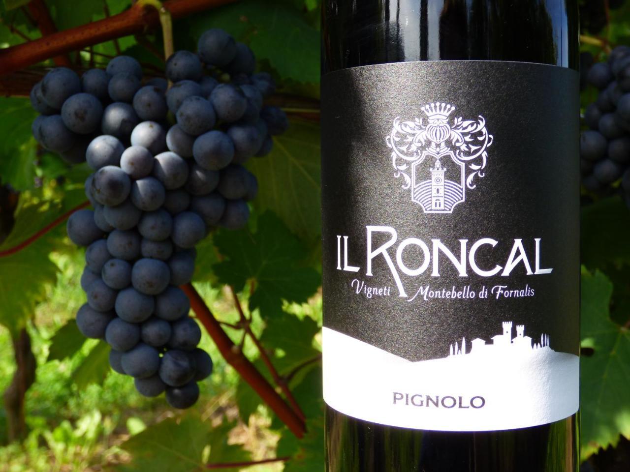Il Roncal Wine Resort - For Wine Lovers Cividale del Friuli Εξωτερικό φωτογραφία